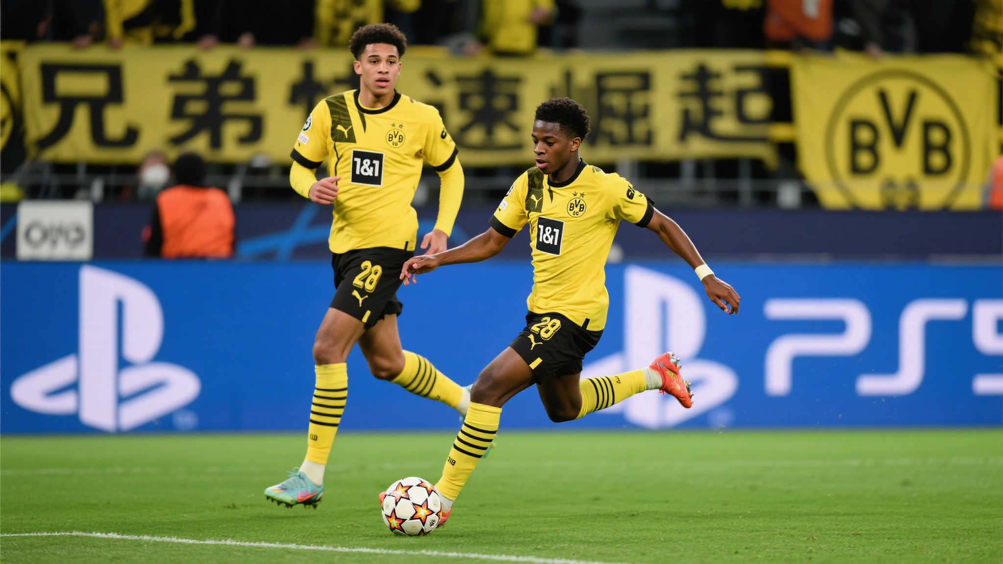 开云体育VIP开户